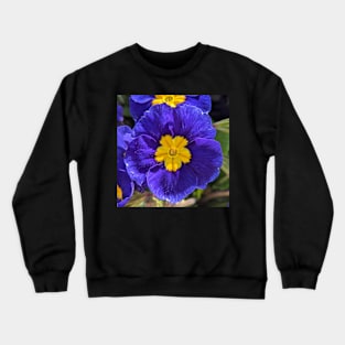 Bright Blue and Yellow Flowers Crewneck Sweatshirt